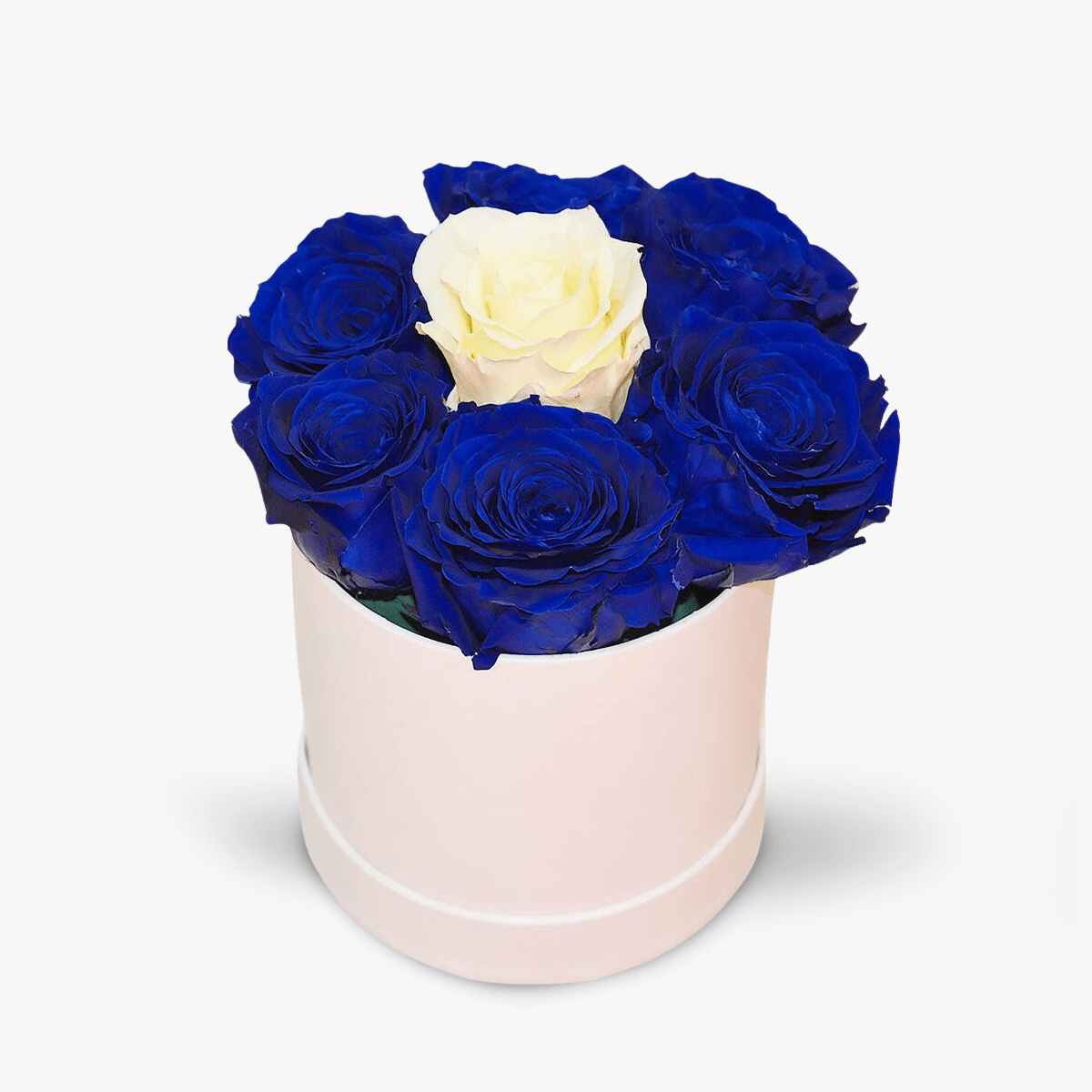Cutie cu 7 trandafiri, albastri si albi, criogenati - Standard